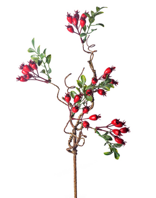 Matte Red Rose Hip 21"
