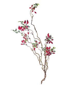 Matte Red Rose Hip 44"