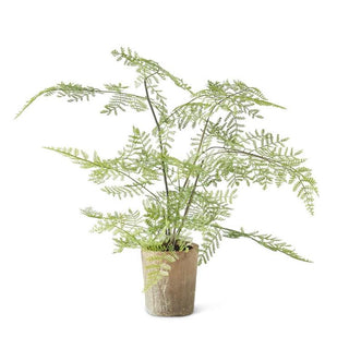 Fern in Ceramic Pot 21"