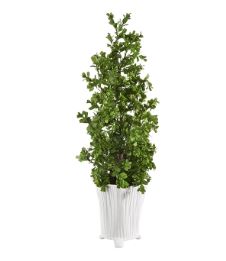 Boxwood Topiary