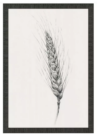 Wavering Wheat Framed Prints, 4 Styles