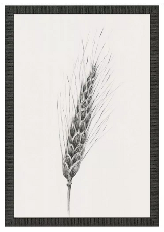 Wavering Wheat Framed Prints, 4 Styles