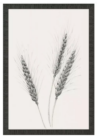 Wavering Wheat Framed Prints, 4 Styles