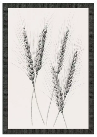 Wavering Wheat Framed Prints, 4 Styles