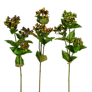 Hypericum Stem Assorted