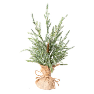 Frosted Austrian Pine Tree 15" burlap wrapped base