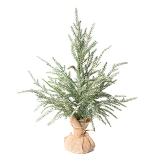 Frosted Austrian Pine Tree 18" burlap wrapped  base