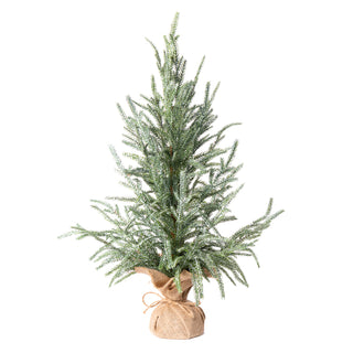 Frosted Austrian Pine Tree 24" burlap wrapped base