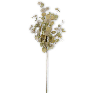 Green Two-Tone Eucalyptus Stem 36"