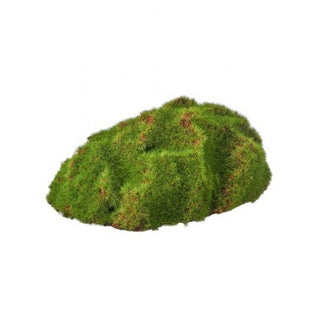 Textured Moss Mound