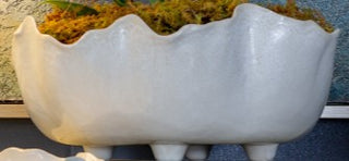 Magnus Bowl Assorted white scalloped