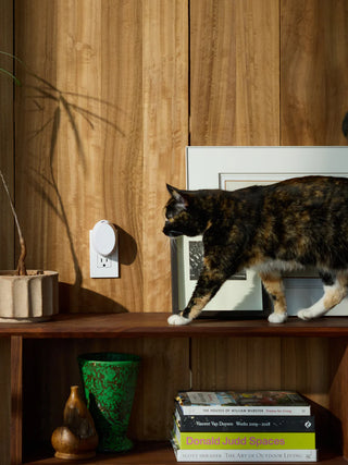 PURA Mini Smart Fragrance Diffuser