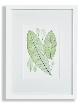 Leaf Prints Assorted