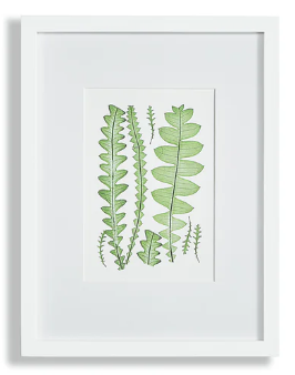 Leaf Prints Assorted