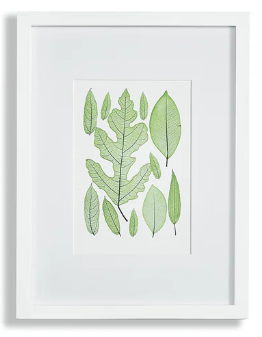 Leaf Prints Assorted