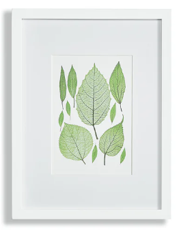 Leaf Prints Assorted