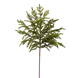Norfolk Pine Spray stem greenery