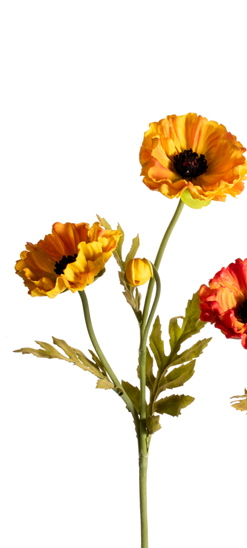 Small Poppy Assorted 27"