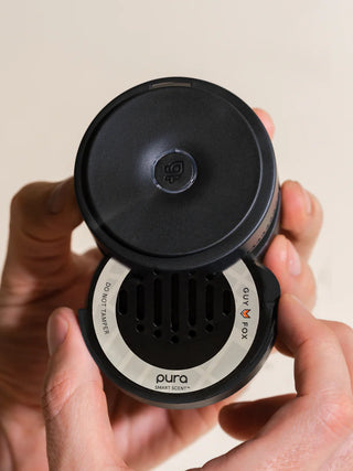 PURA Car Refill, Soho by guy fox california, soft musk, dark amber, sandalwood