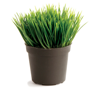 Mini Potted Grass Drop-In