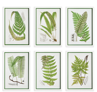 Layered Fern Print Assorted