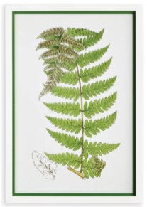 Layered Fern Print Assorted