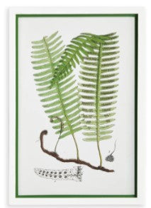 Layered Fern Print Assorted