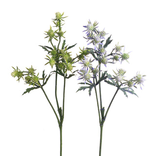 Thistle Assorted 25"