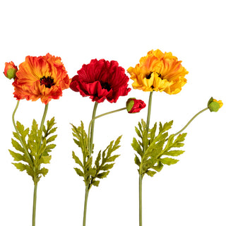 Large Poppy, 3 Colors