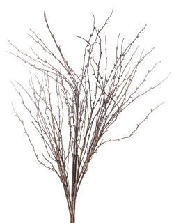 Grey Twig Bundle 39"