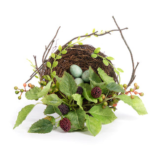 Bird Nest with Raspberry