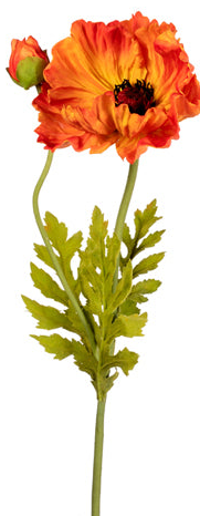 Large Poppy, 3 Colors