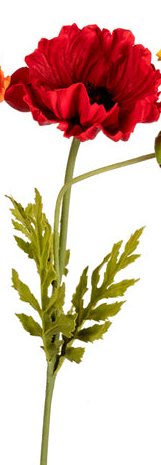 Large Poppy, 3 Colors