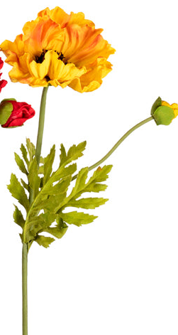 Large Poppy, 3 Colors