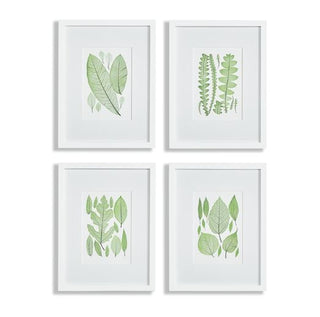 Leaf Prints Assorted