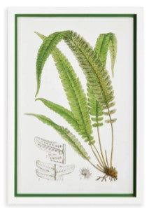 Layered Fern Print Assorted