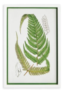 Layered Fern Print Assorted