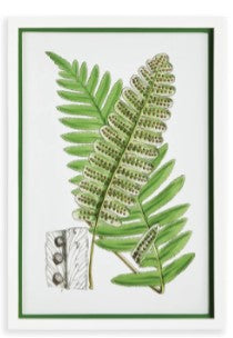 Layered Fern Print Assorted