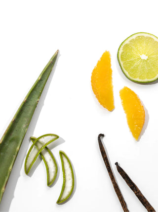 PURA Cactus Flower Refill by paddywax