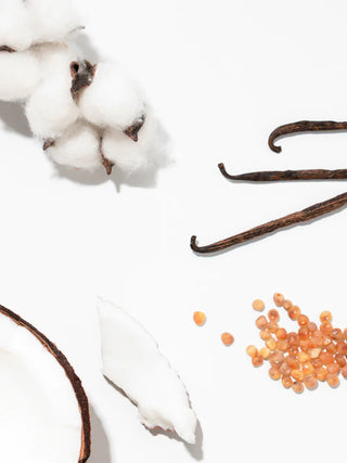 PURA Coconut Calm Refill by becki owens