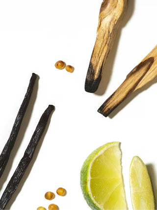 PURA Santal Vanilla Smart Vial by studio mcgee