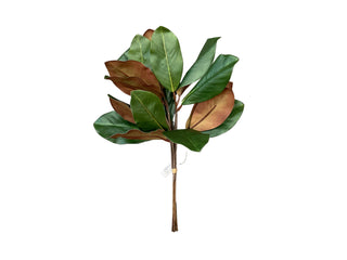 Magnolia Bundle 20"