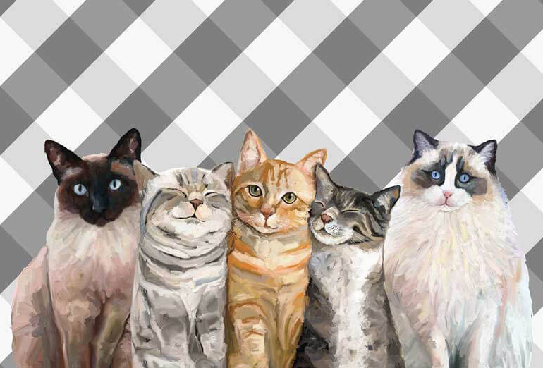 Feline Friends Placemat