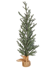 Load image into Gallery viewer, Iced Pine Tree in Burlap Assorted
