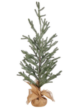 Load image into Gallery viewer, Iced Pine Tree in Burlap Assorted
