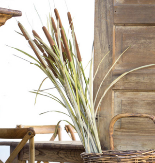 Crafted Cattail Stem