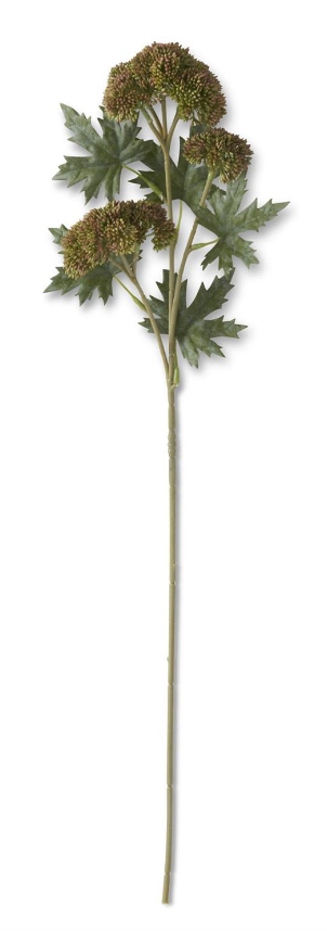 Dark Green Sedum Stem 28"