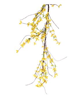Forsythia Garland 6'
