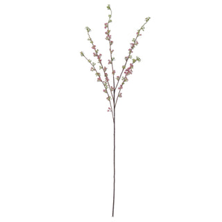Pink Hoary Willow Spray