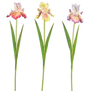 Real Touch Iris Stem Assorted